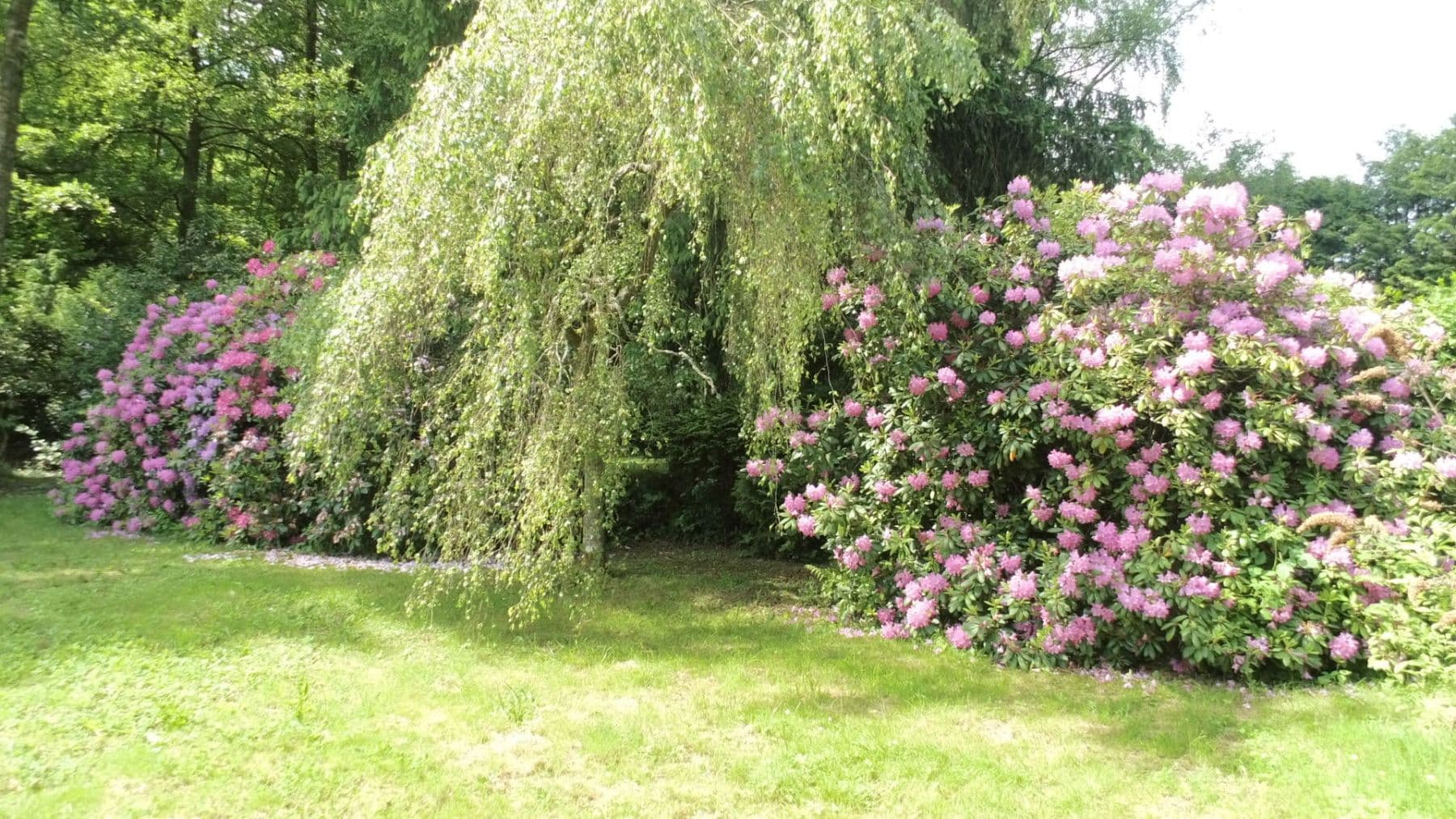 4 bedroom flat to rent, 130 m², Schwimmbadstraße 7, Bad Herrenalb, Baden-Württemberg 4 bedroom flat to rent, 130 m², Schwimmbadstraße 7, Bad Herrenalb, Baden-Württemberg