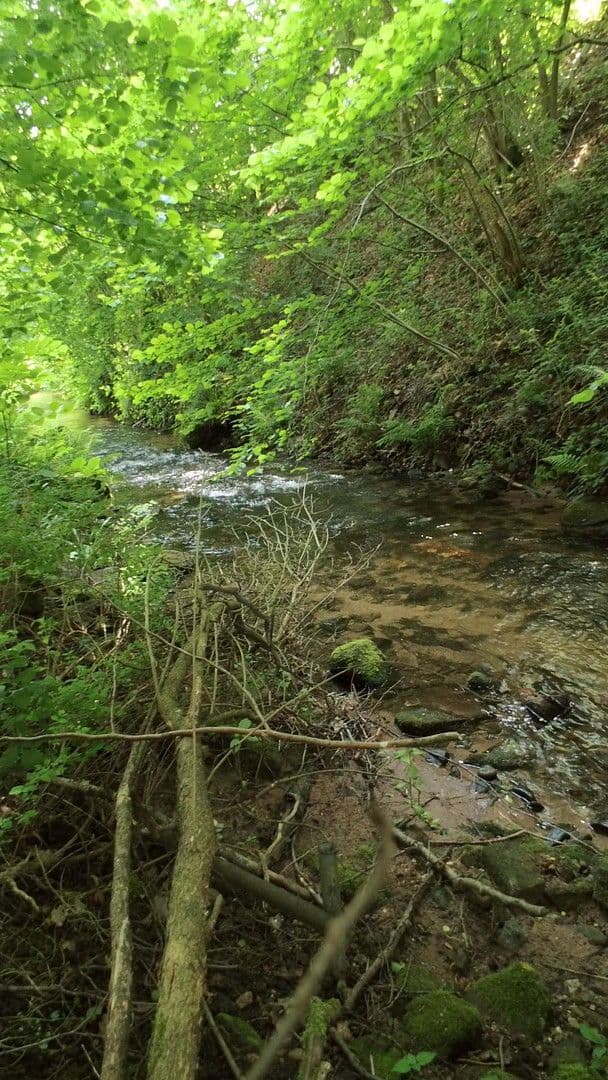 4 bedroom flat to rent, 130 m², Schwimmbadstraße 7, Bad Herrenalb, Baden-Württemberg 4 bedroom flat to rent, 130 m², Schwimmbadstraße 7, Bad Herrenalb, Baden-Württemberg