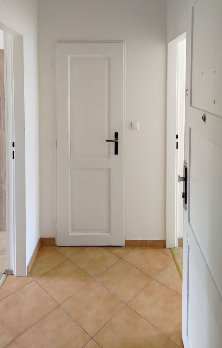 1 bedroom with open-plan kitchen flat to rent, 35 m², Davídkova, Prague, Prague 1 bedroom with open-plan kitchen flat to rent, 35 m², Davídkova, Prague, Prague