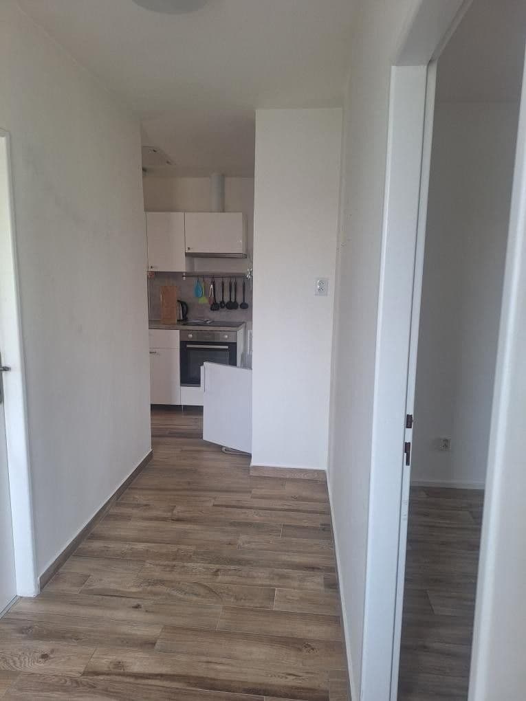1 bedroom with open-plan kitchen flat to rent, 60 m², Na Bendovce, Prague, Prague 1 bedroom with open-plan kitchen flat to rent, 60 m², Na Bendovce, Prague, Prague