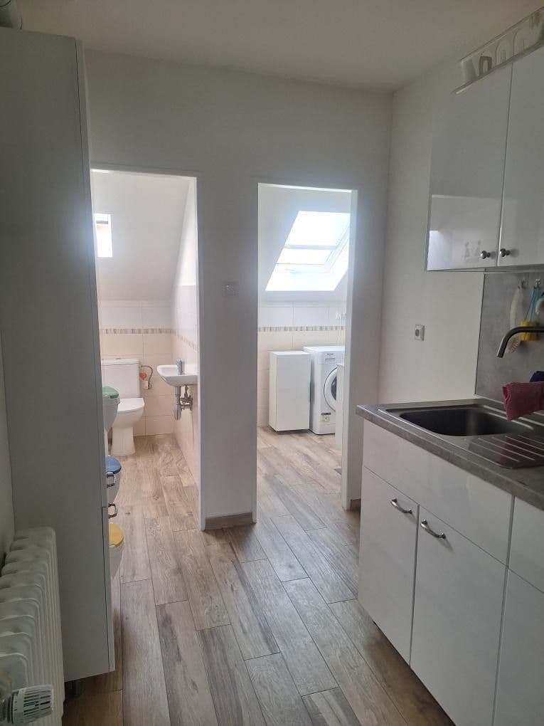 1 bedroom with open-plan kitchen flat to rent, 60 m², Na Bendovce, Prague, Prague 1 bedroom with open-plan kitchen flat to rent, 60 m², Na Bendovce, Prague, Prague