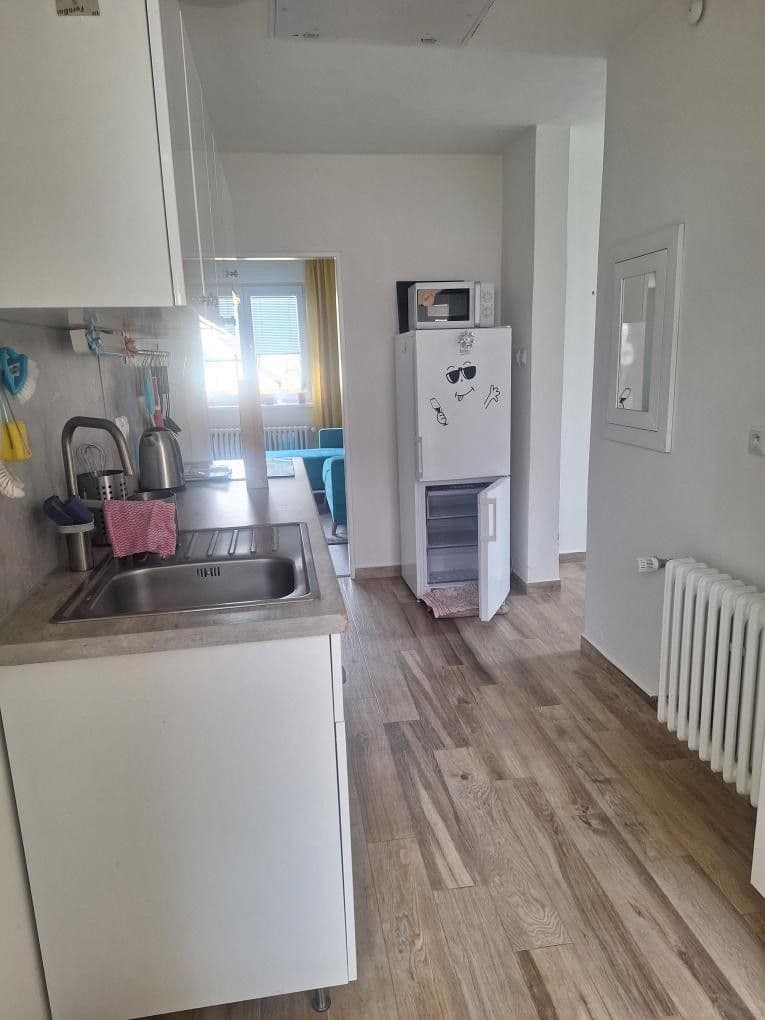 1 bedroom with open-plan kitchen flat to rent, 60 m², Na Bendovce, Prague, Prague 1 bedroom with open-plan kitchen flat to rent, 60 m², Na Bendovce, Prague, Prague
