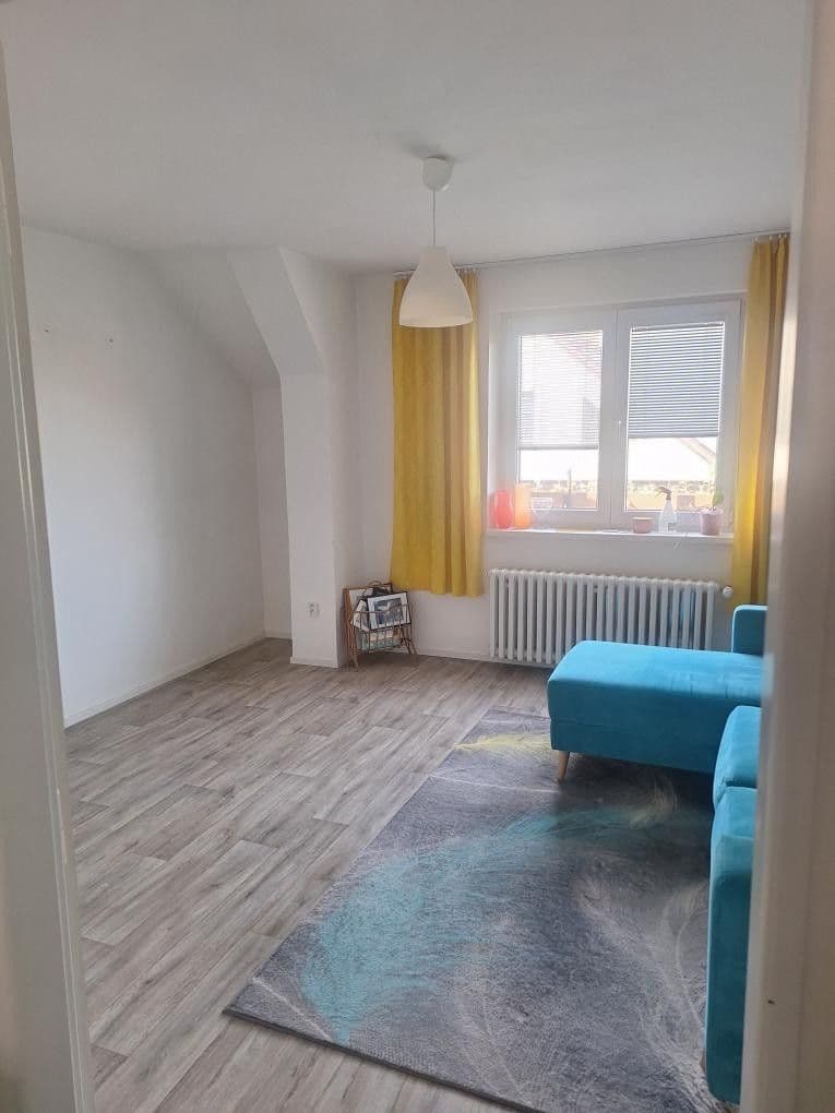 1 bedroom with open-plan kitchen flat to rent, 60 m², Na Bendovce, Prague, Prague 1 bedroom with open-plan kitchen flat to rent, 60 m², Na Bendovce, Prague, Prague