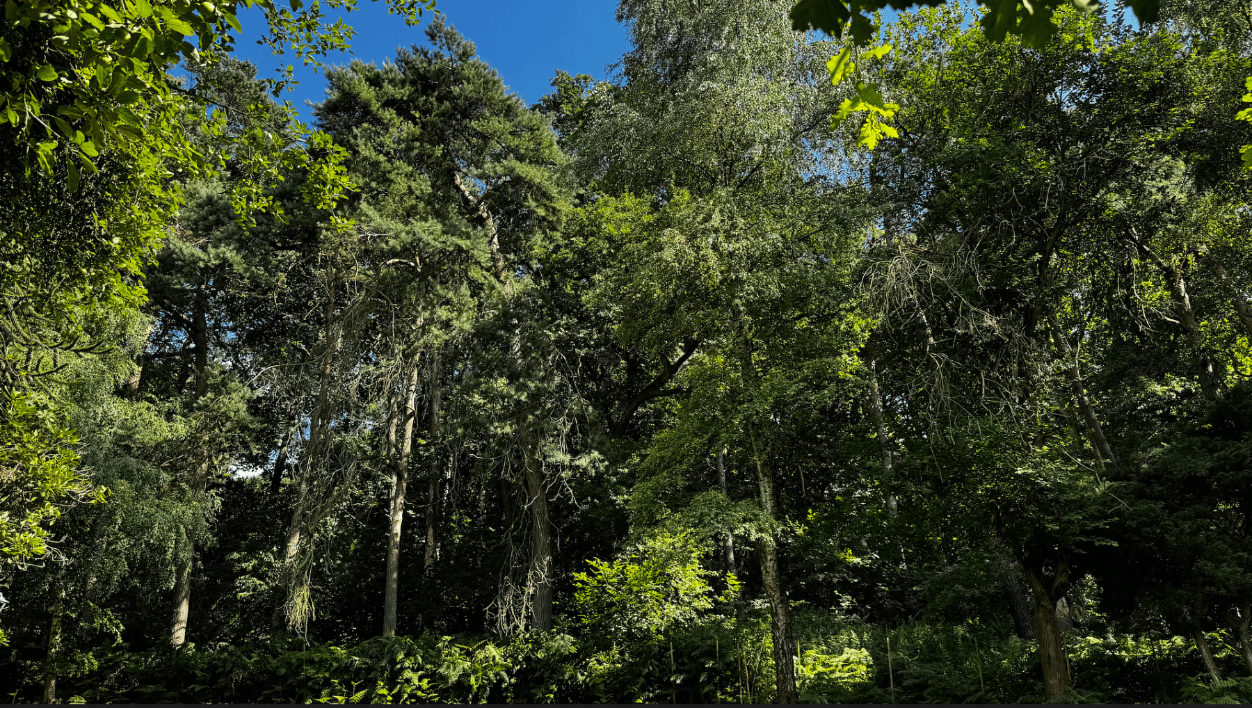 house for sale, 245 m², Dortmund, North Rhine-Westphalia house for sale, 245 m², Dortmund, North Rhine-Westphalia