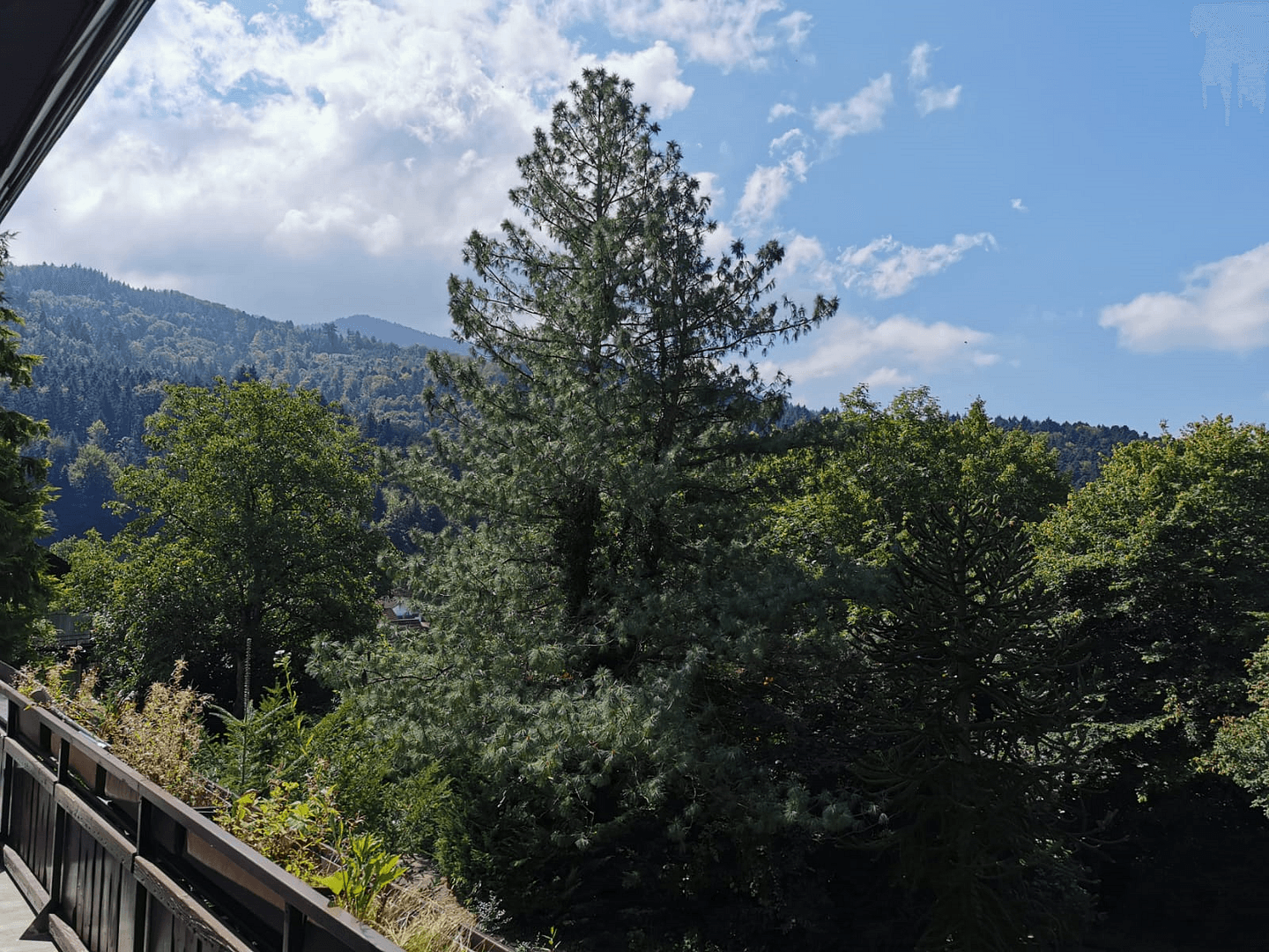 house for sale, 239 m², Badenweiler, Baden-Württemberg house for sale, 239 m², Badenweiler, Baden-Württemberg