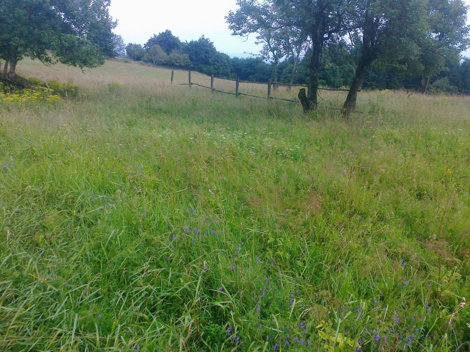 plot for sale, 2,256 m², Krupka, Ústecký Region plot for sale, 2,256 m², Krupka, Ústecký Region