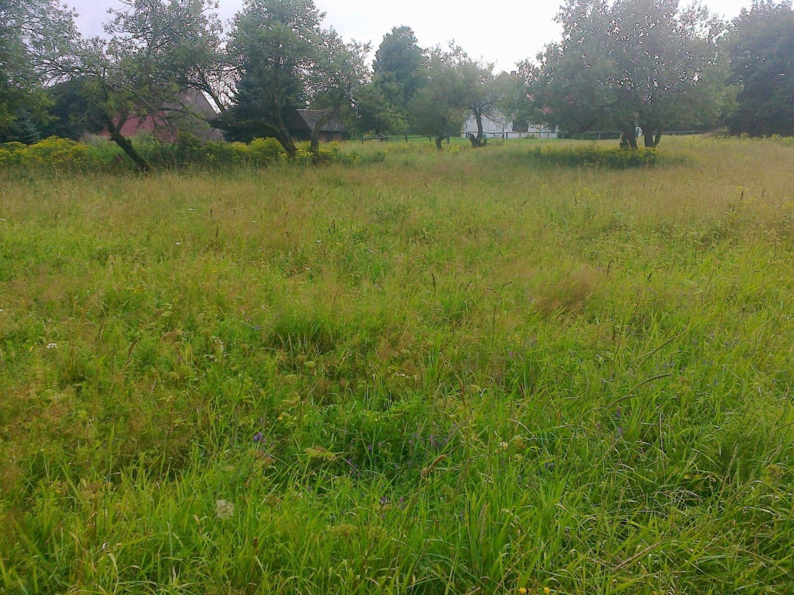 plot for sale, 2,256 m², Krupka, Ústecký Region plot for sale, 2,256 m², Krupka, Ústecký Region