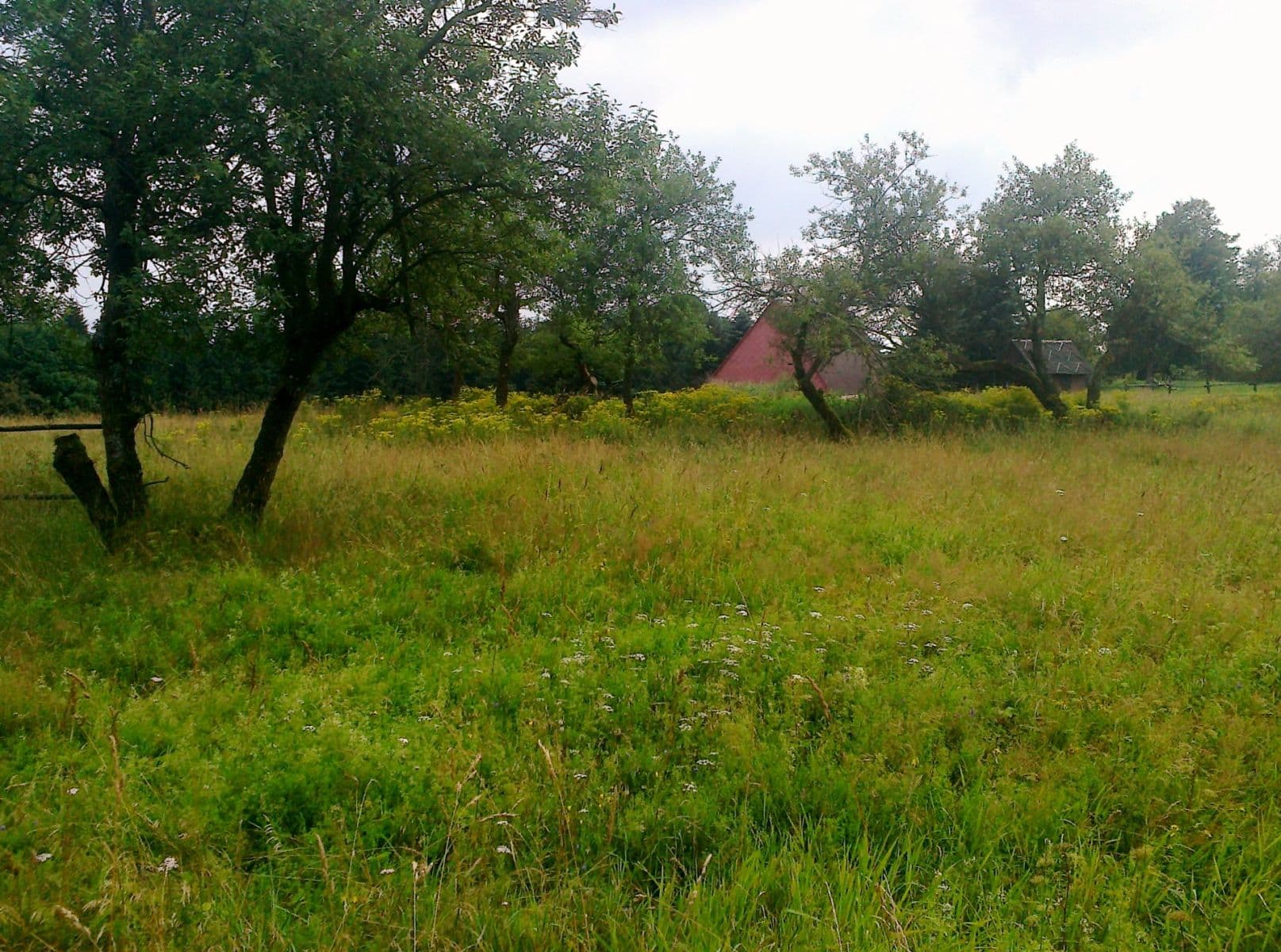 plot for sale, 2,256 m², Krupka, Ústecký Region plot for sale, 2,256 m², Krupka, Ústecký Region