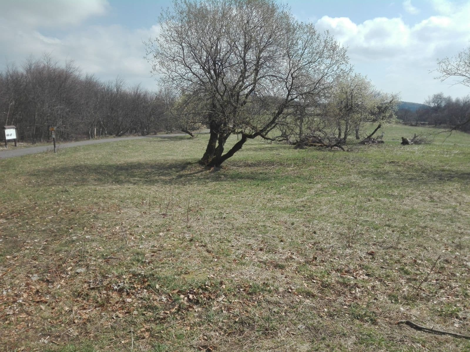 plot for sale, 2,256 m², Krupka, Ústecký Region plot for sale, 2,256 m², Krupka, Ústecký Region