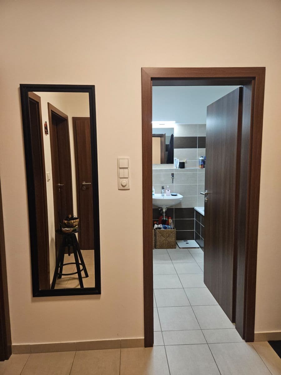 1 bedroom with open-plan kitchen flat to rent, 55 m², Československého exilu, Prague, Prague 1 bedroom with open-plan kitchen flat to rent, 55 m², Československého exilu, Prague, Prague