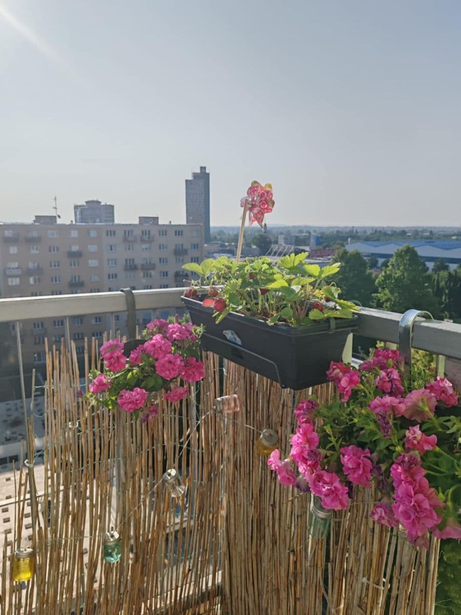 3 bedroom with open-plan kitchen flat for sale, 75 m², Renneská třída, Brno, Jihomoravský Region 3 bedroom with open-plan kitchen flat for sale, 75 m², Renneská třída, Brno, Jihomoravský Region