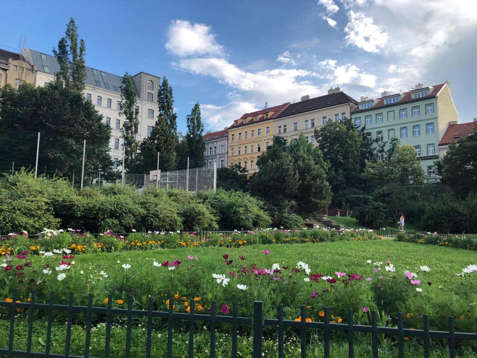 1 bedroom with open-plan kitchen flat to rent, 42 m², Bořivojova, Prague, Prague 1 bedroom with open-plan kitchen flat to rent, 42 m², Bořivojova, Prague, Prague