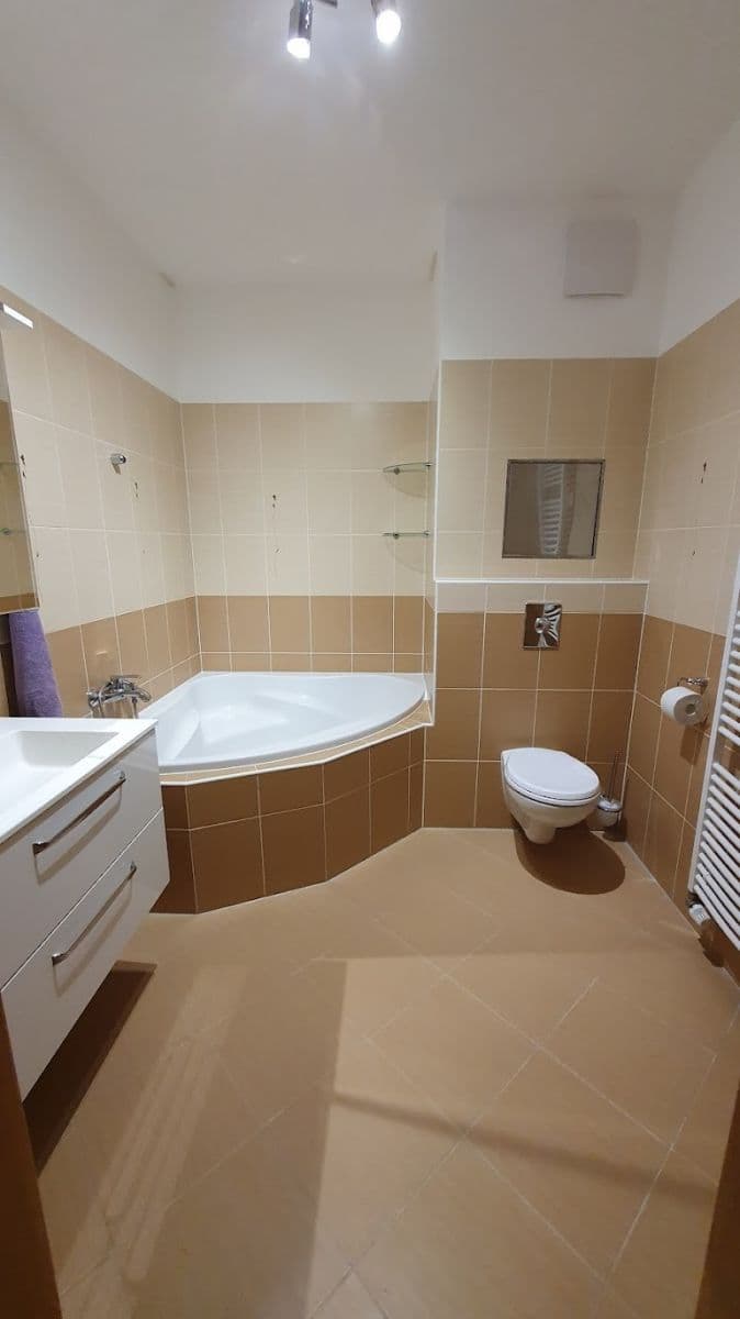 1 bedroom with open-plan kitchen flat to rent, 55 m², Raichlova, Prague, Prague 1 bedroom with open-plan kitchen flat to rent, 55 m², Raichlova, Prague, Prague