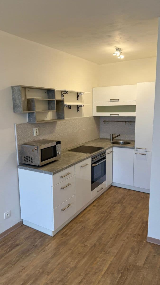 1 bedroom with open-plan kitchen flat to rent, 40 m², Františka Malíka, Most, Ústecký Region 1 bedroom with open-plan kitchen flat to rent, 40 m², Františka Malíka, Most, Ústecký Region