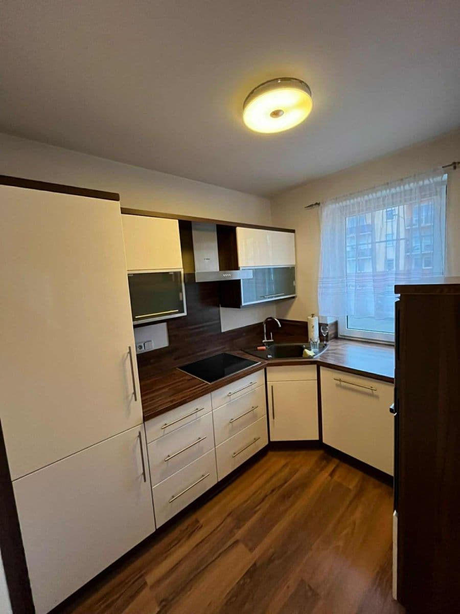 1 bedroom with open-plan kitchen flat to rent, 50 m², Květná, Plzeň, Plzeňský Region 1 bedroom with open-plan kitchen flat to rent, 50 m², Květná, Plzeň, Plzeňský Region