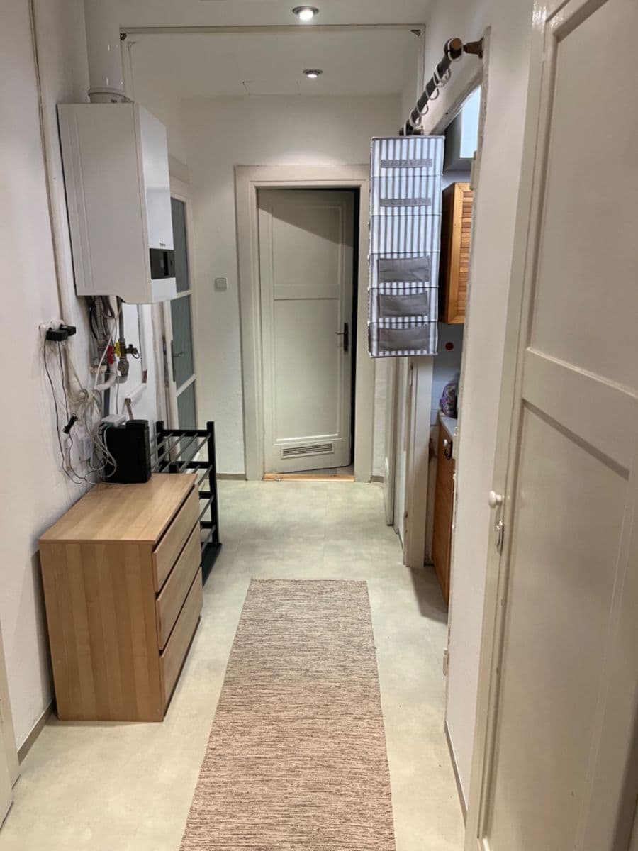 1 bedroom with open-plan kitchen flat to rent, 55 m², Máchova, Prague, Prague 1 bedroom with open-plan kitchen flat to rent, 55 m², Máchova, Prague, Prague