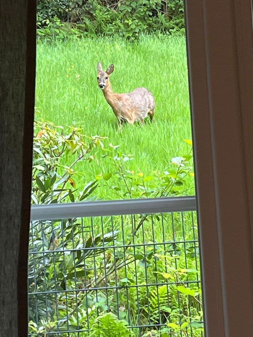 house for sale, 150 m², Iserlohn, North Rhine-Westphalia house for sale, 150 m², Iserlohn, North Rhine-Westphalia