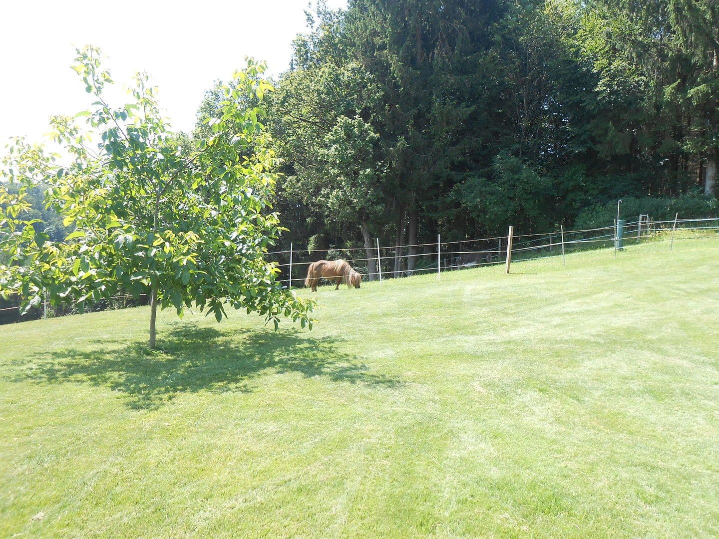 1 bedroom with open-plan kitchen flat to rent, 104 m², Obing, Bavaria 1 bedroom with open-plan kitchen flat to rent, 104 m², Obing, Bavaria