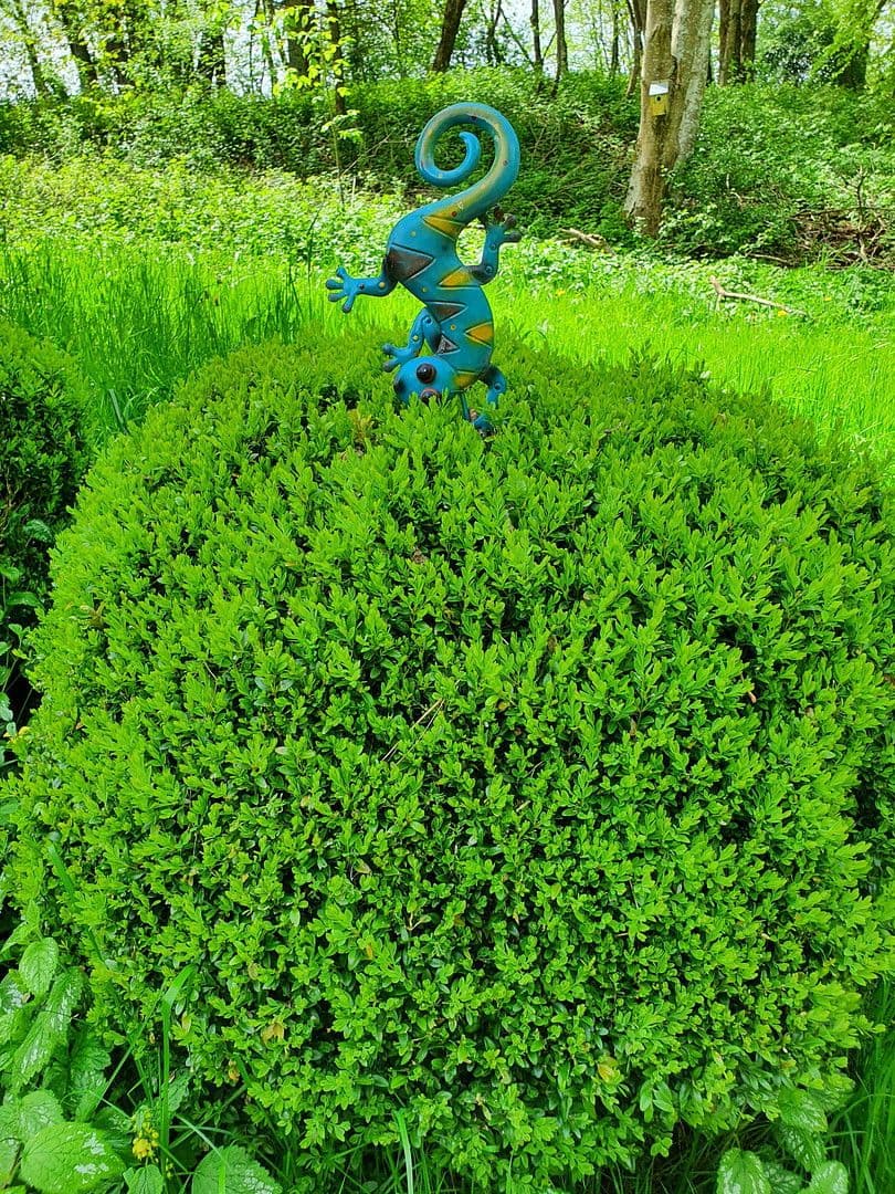 2 bedroom flat to rent, 72 m², Eigeltingen, Baden-Württemberg 2 bedroom flat to rent, 72 m², Eigeltingen, Baden-Württemberg