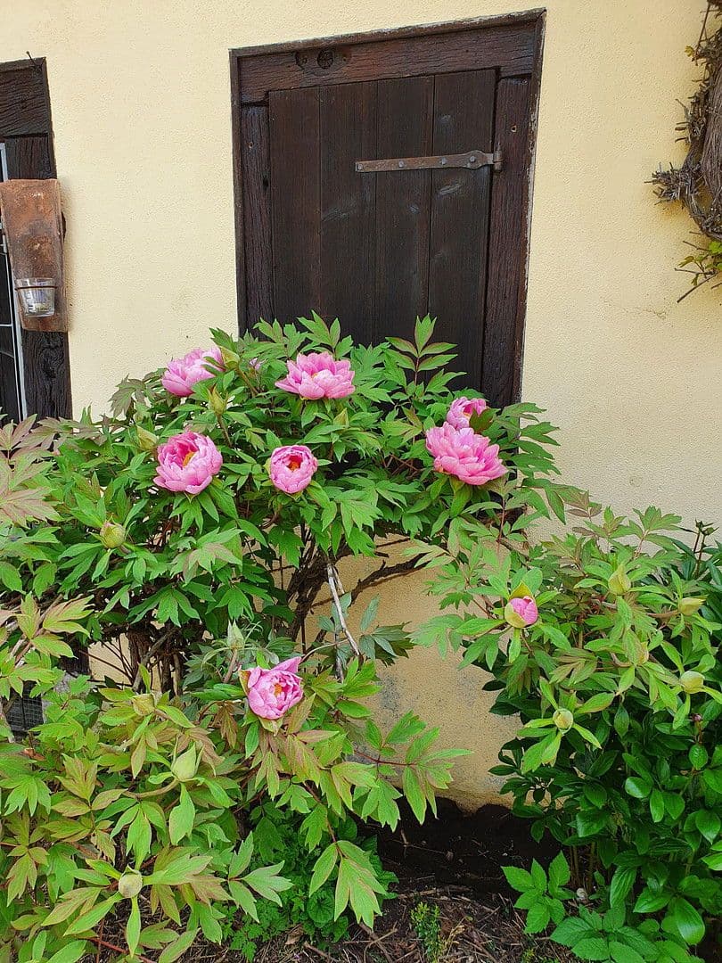 2 bedroom flat to rent, 72 m², Eigeltingen, Baden-Württemberg 2 bedroom flat to rent, 72 m², Eigeltingen, Baden-Württemberg