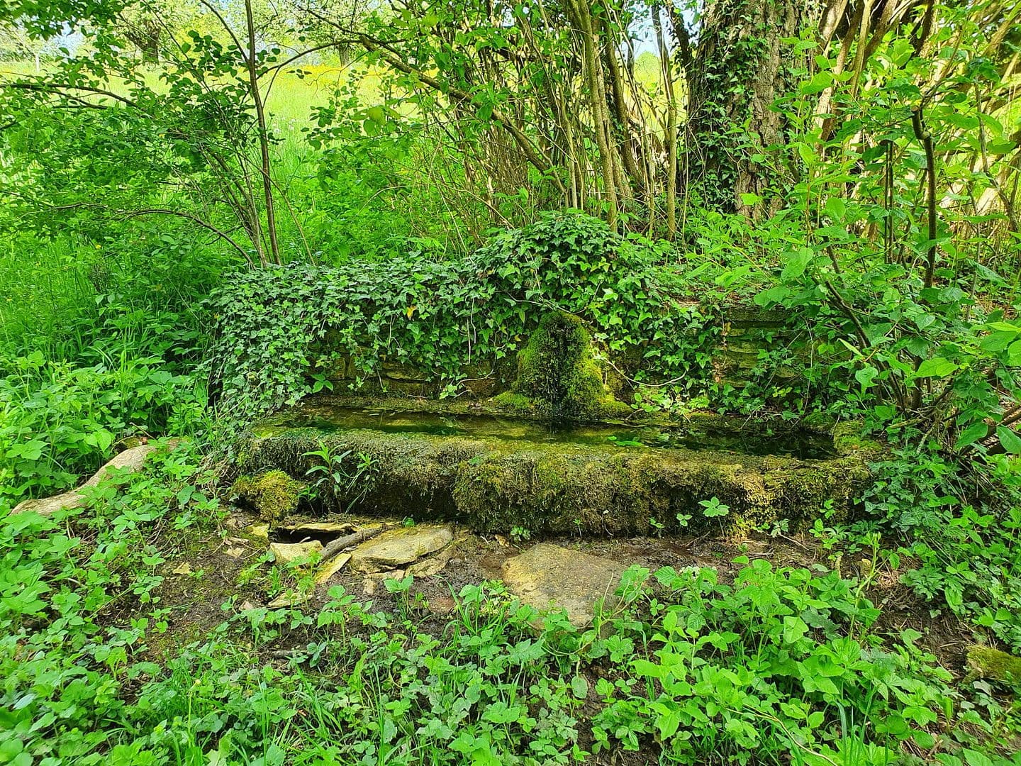 2 bedroom flat to rent, 72 m², Eigeltingen, Baden-Württemberg 2 bedroom flat to rent, 72 m², Eigeltingen, Baden-Württemberg