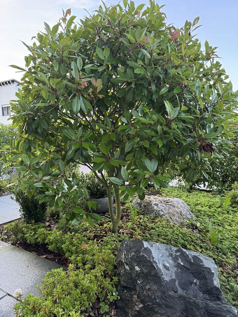 house for sale, 202 m², Calw, Baden-Württemberg house for sale, 202 m², Calw, Baden-Württemberg