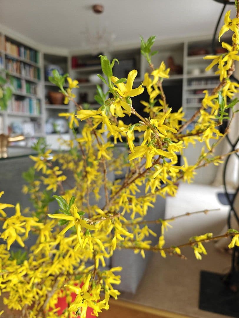 house for sale, 493 m², Glashütten, Hesse house for sale, 493 m², Glashütten, Hesse