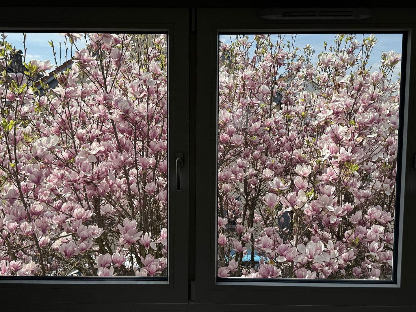 5 bedroom flat to rent, 126 m², Wiesbaden, Hesse 5 bedroom flat to rent, 126 m², Wiesbaden, Hesse