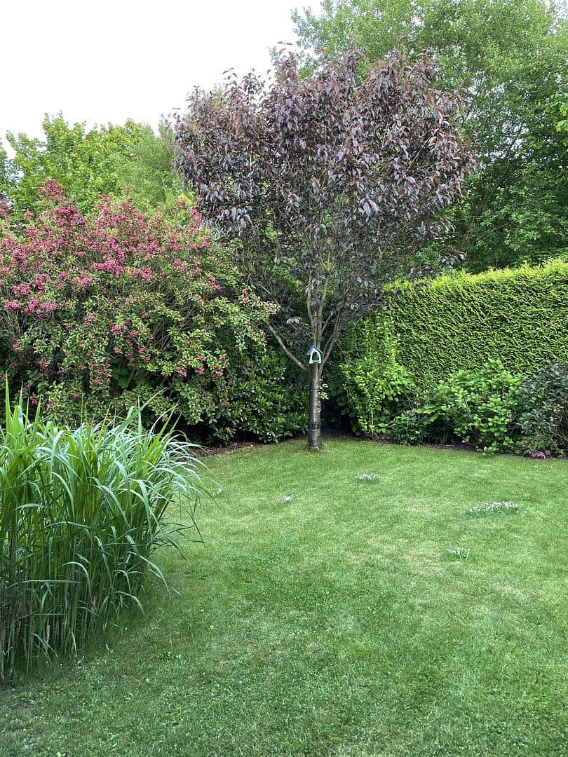 house for sale, 124 m², Buchholz in der Nordheide, Lower Saxony house for sale, 124 m², Buchholz in der Nordheide, Lower Saxony