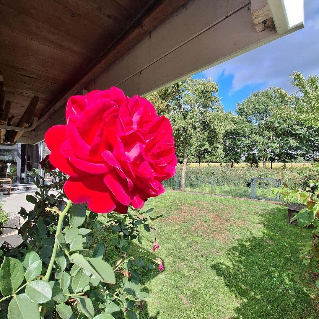 house for sale, 181 m², Bremen, Bremen house for sale, 181 m², Bremen, Bremen