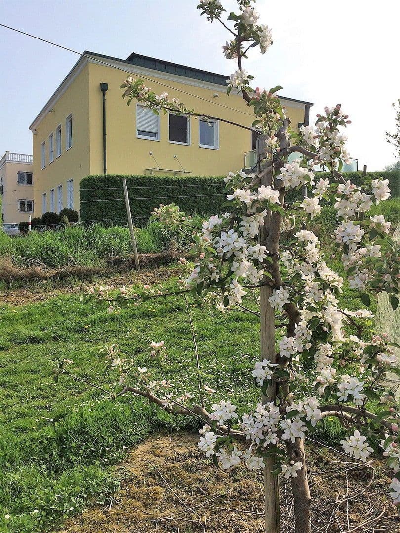 house for sale, 439 m², Wachtberg, North Rhine-Westphalia house for sale, 439 m², Wachtberg, North Rhine-Westphalia