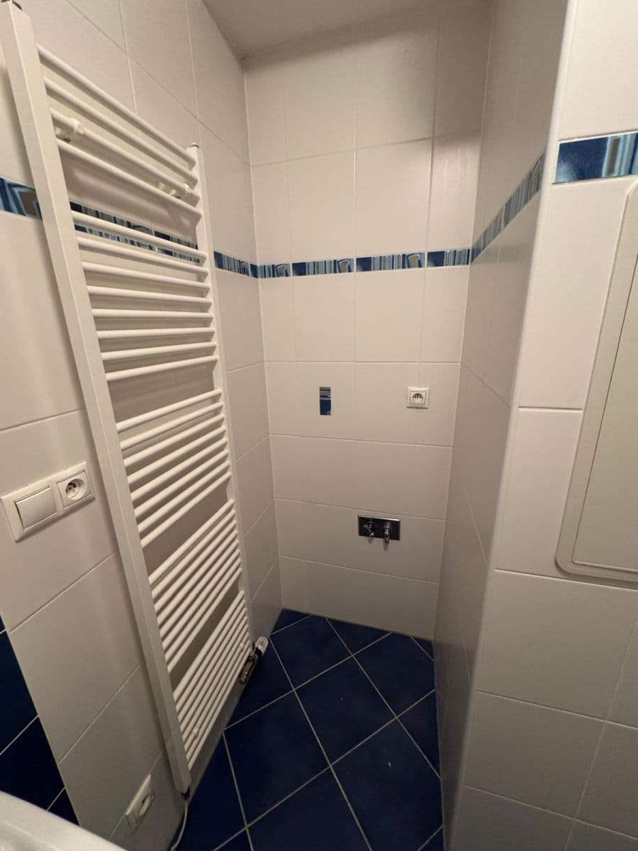 1 bedroom with open-plan kitchen flat to rent, 59 m², Symfonická, Prague, Prague 1 bedroom with open-plan kitchen flat to rent, 59 m², Symfonická, Prague, Prague