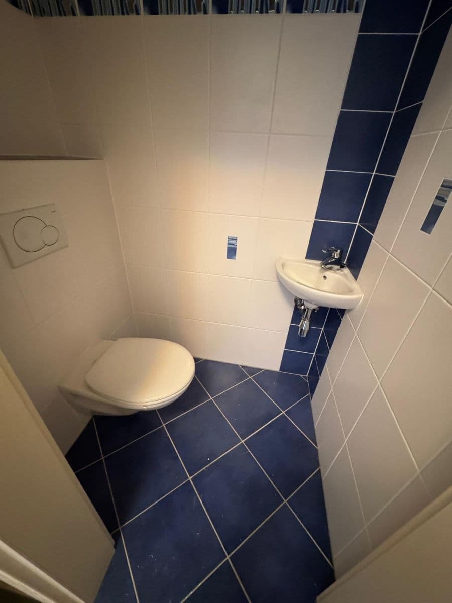 1 bedroom with open-plan kitchen flat to rent, 59 m², Symfonická, Prague, Prague 1 bedroom with open-plan kitchen flat to rent, 59 m², Symfonická, Prague, Prague