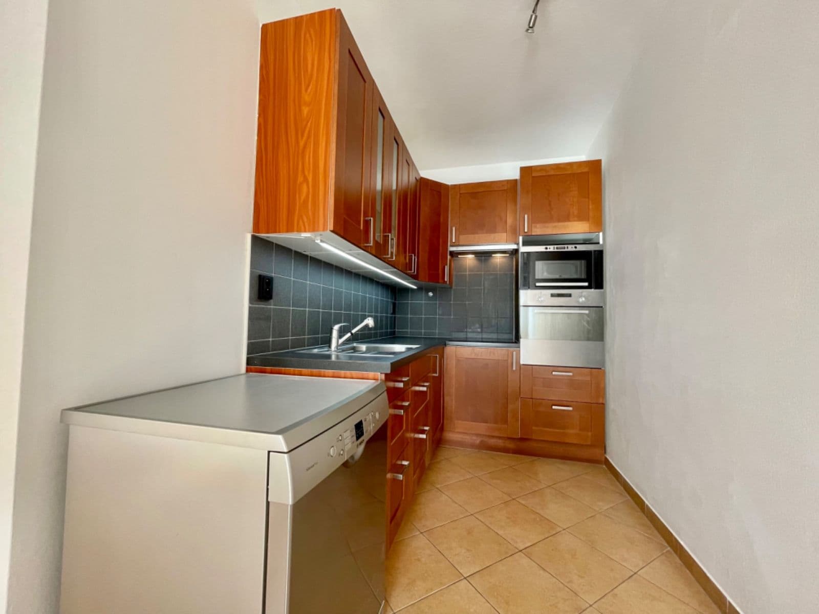 1 bedroom with open-plan kitchen flat to rent, 58 m², Raichlova, Prague, Prague 1 bedroom with open-plan kitchen flat to rent, 58 m², Raichlova, Prague, Prague