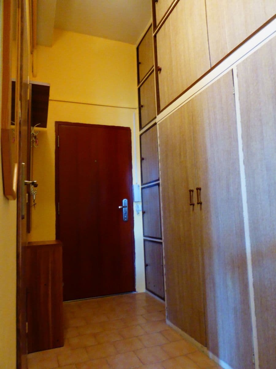 1 bedroom with open-plan kitchen flat to rent, 49 m², Biskupcova, Prague, Prague 1 bedroom with open-plan kitchen flat to rent, 49 m², Biskupcova, Prague, Prague