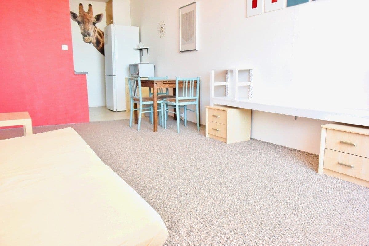 1 bedroom with open-plan kitchen flat to rent, 43 m², Milánská, Prague, Prague 1 bedroom with open-plan kitchen flat to rent, 43 m², Milánská, Prague, Prague