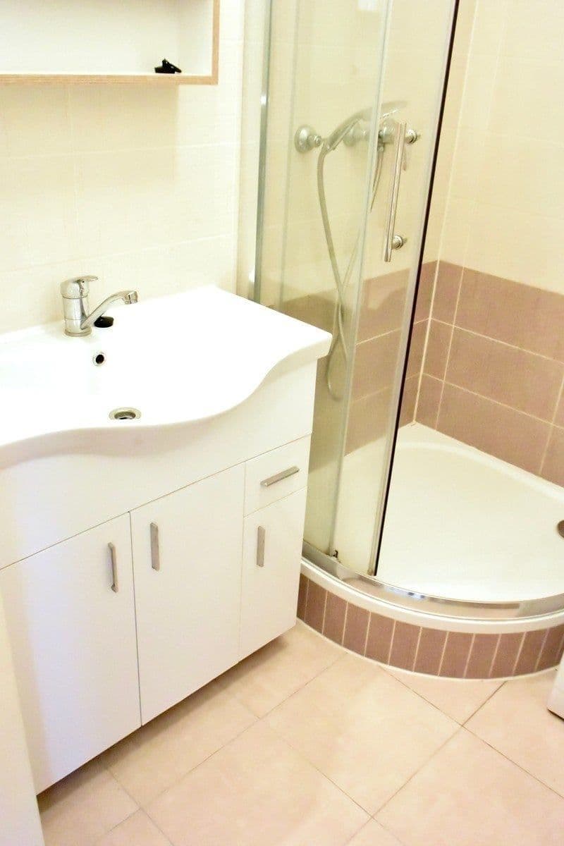 1 bedroom with open-plan kitchen flat to rent, 43 m², Milánská, Prague, Prague 1 bedroom with open-plan kitchen flat to rent, 43 m², Milánská, Prague, Prague