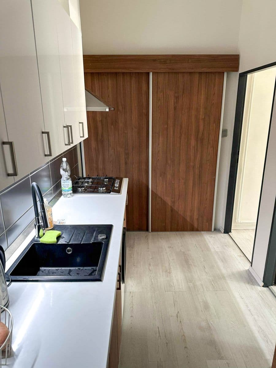 1 bedroom with open-plan kitchen flat to rent, 55 m², Sokolovská, Prague, Prague 1 bedroom with open-plan kitchen flat to rent, 55 m², Sokolovská, Prague, Prague