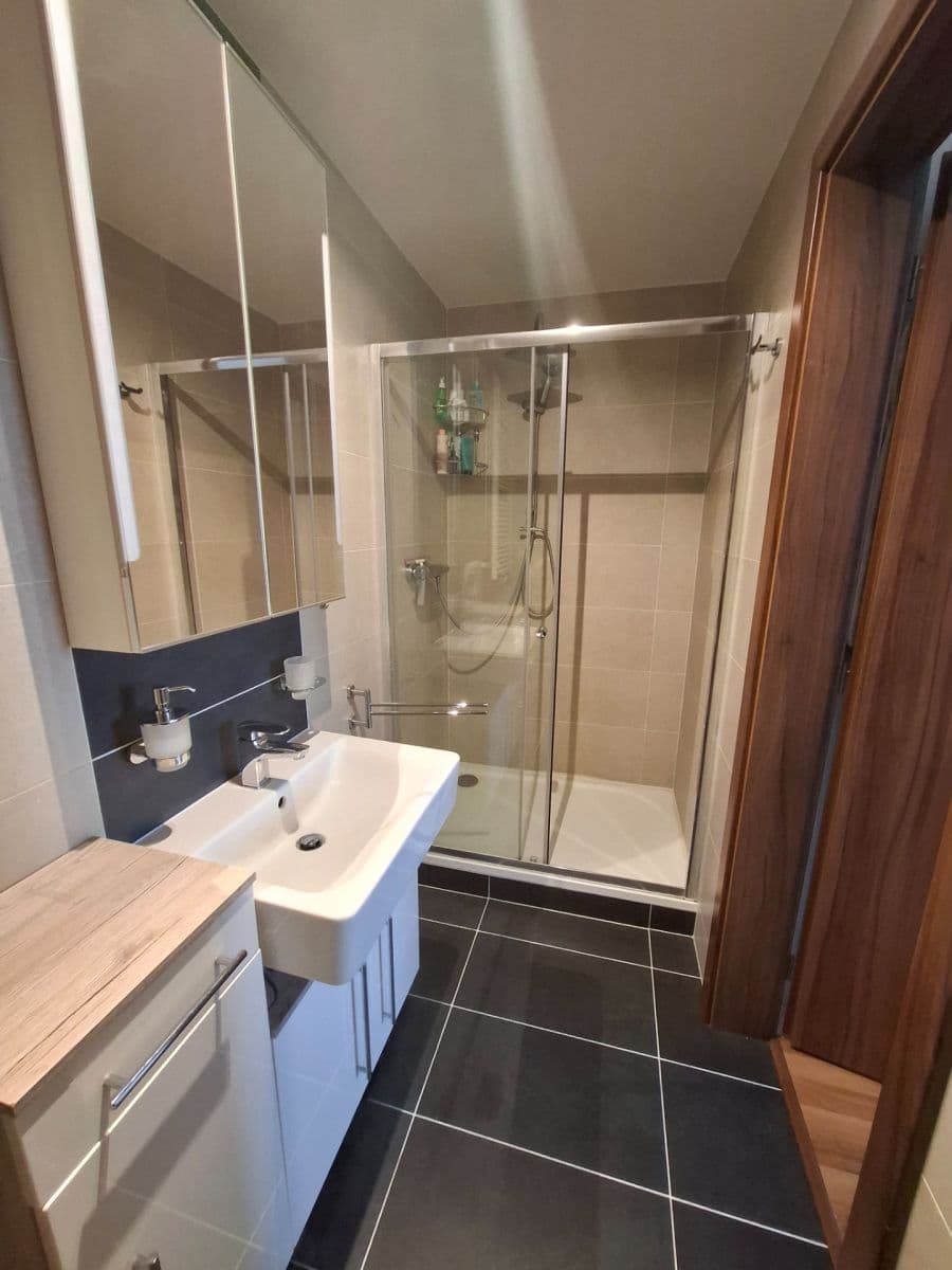 3 bedroom with open-plan kitchen flat to rent, 102 m², Petržílkova, Prague, Prague 3 bedroom with open-plan kitchen flat to rent, 102 m², Petržílkova, Prague, Prague