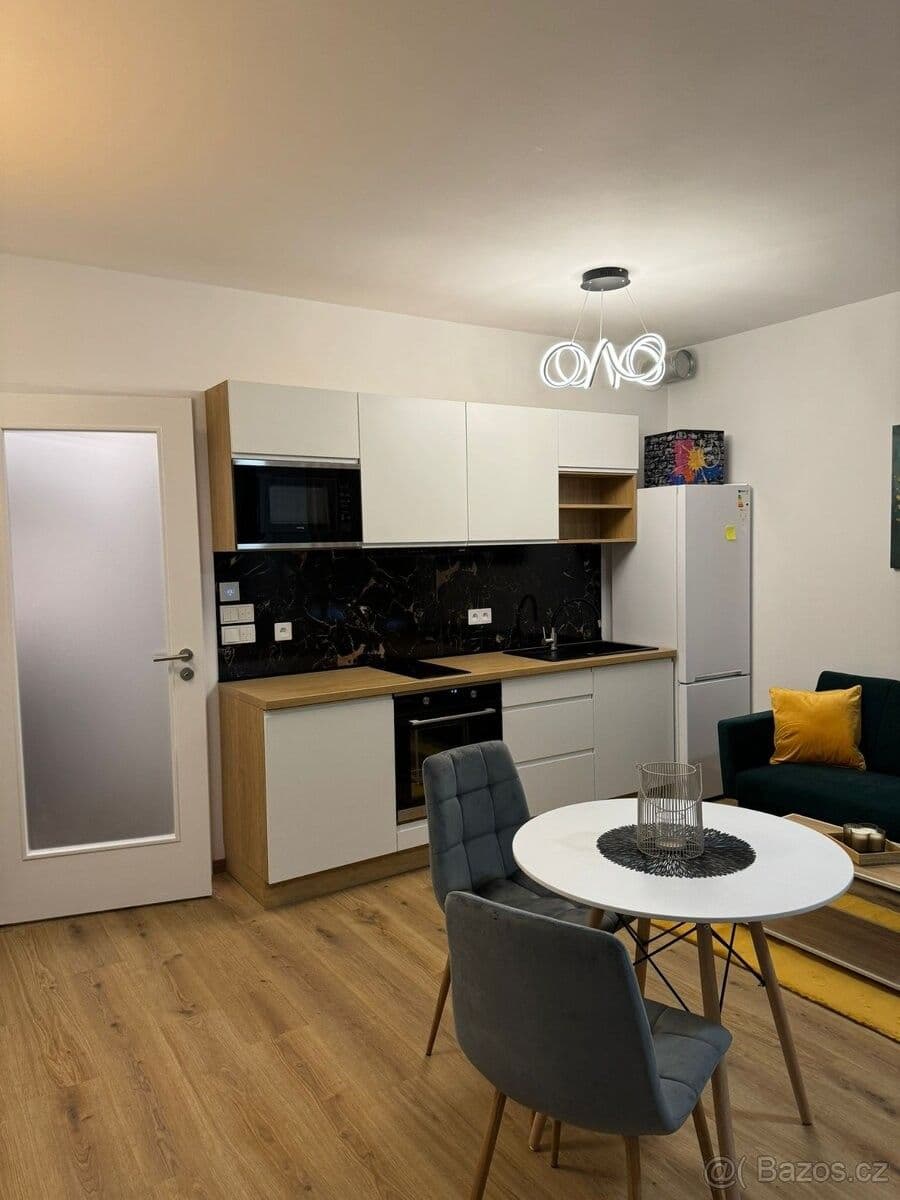 Studio flat to rent, 42 m², Olgy Havlové, Prague, Prague Studio flat to rent, 42 m², Olgy Havlové, Prague, Prague