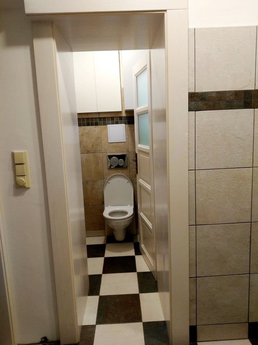 1 bedroom with open-plan kitchen flat to rent, 60 m², Hošťálkova, Prague, Prague 1 bedroom with open-plan kitchen flat to rent, 60 m², Hošťálkova, Prague, Prague