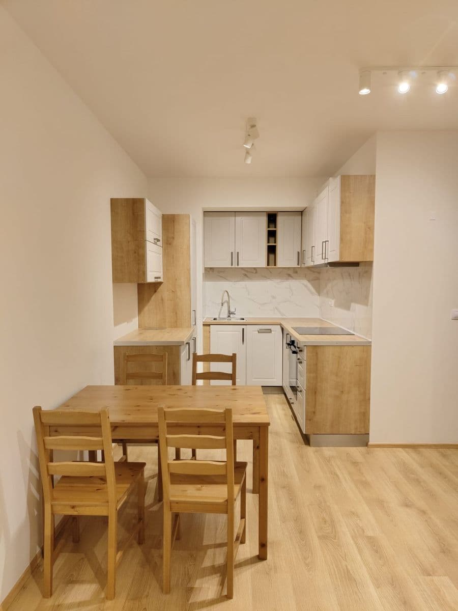 1 bedroom with open-plan kitchen flat to rent, 49 m², Bohumila Landy, Kladno, Středočeský Region 1 bedroom with open-plan kitchen flat to rent, 49 m², Bohumila Landy, Kladno, Středočeský Region