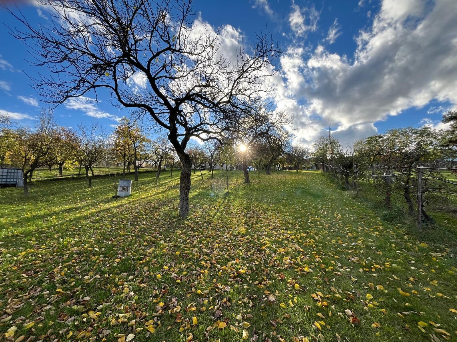 house for sale, 130 m², Oleksovice, Jihomoravský Region house for sale, 130 m², Oleksovice, Jihomoravský Region