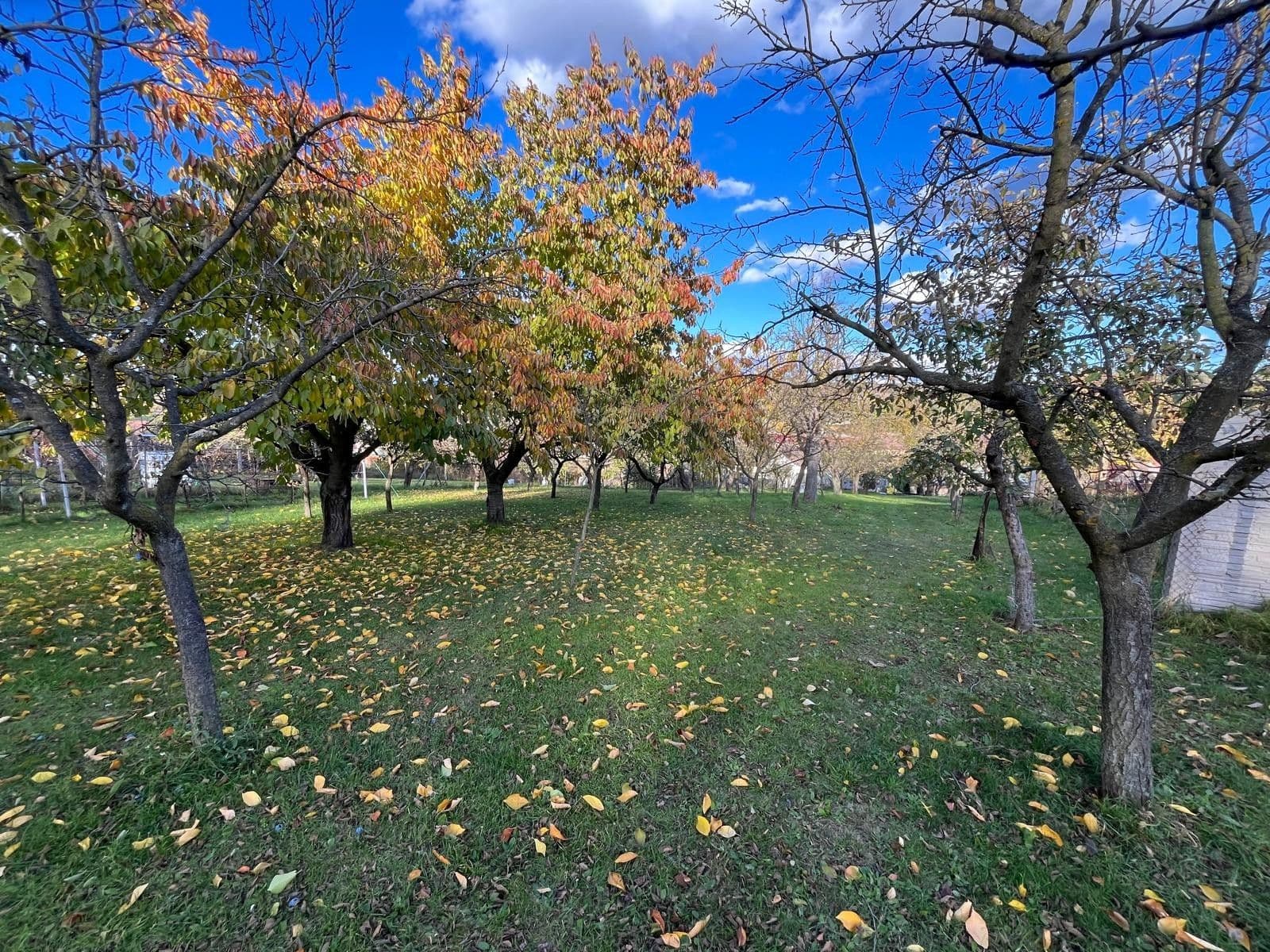 house for sale, 130 m², Oleksovice, Jihomoravský Region house for sale, 130 m², Oleksovice, Jihomoravský Region