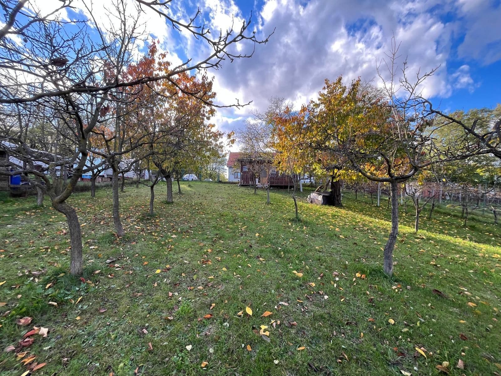 house for sale, 130 m², Oleksovice, Jihomoravský Region house for sale, 130 m², Oleksovice, Jihomoravský Region