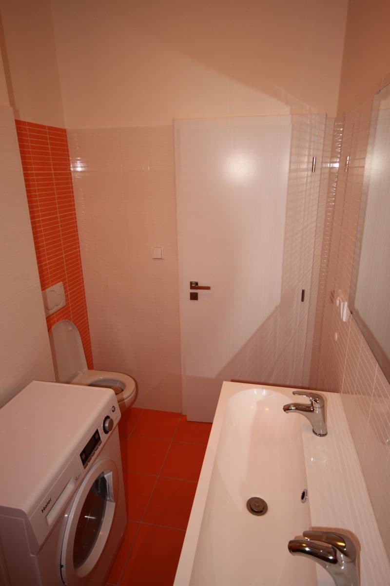 1 bedroom with open-plan kitchen flat to rent, 40 m², Na Maninách, Prague, Prague 1 bedroom with open-plan kitchen flat to rent, 40 m², Na Maninách, Prague, Prague