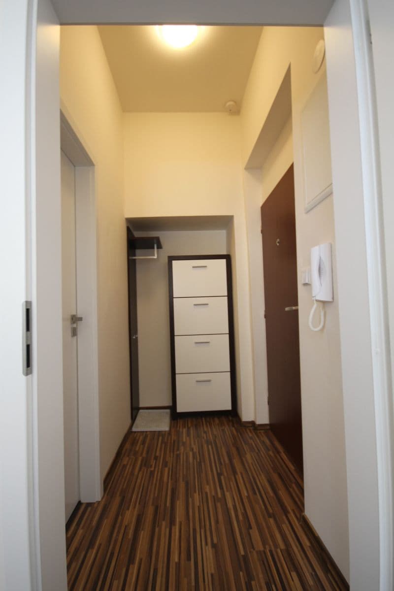 1 bedroom with open-plan kitchen flat to rent, 40 m², Na Maninách, Prague, Prague 1 bedroom with open-plan kitchen flat to rent, 40 m², Na Maninách, Prague, Prague