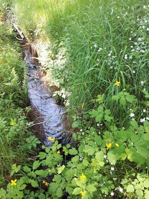 house for sale, 520 m², Sattelmühle 2, Esthal, Rhineland-Palatinate house for sale, 520 m², Sattelmühle 2, Esthal, Rhineland-Palatinate