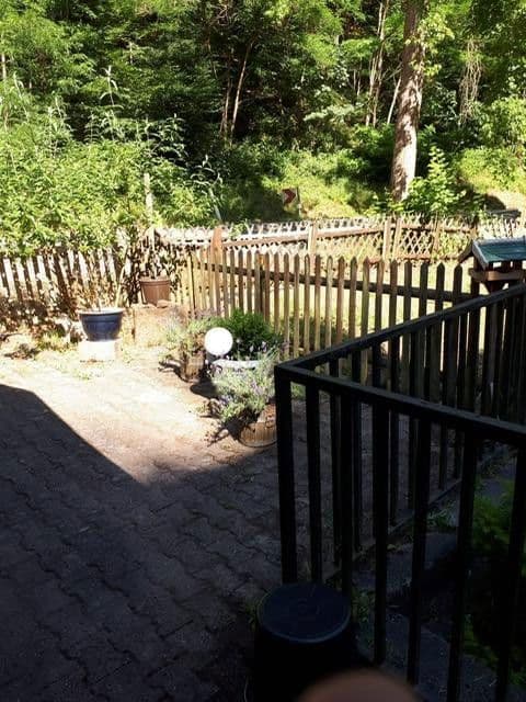 house for sale, 520 m², Sattelmühle 2, Esthal, Rhineland-Palatinate house for sale, 520 m², Sattelmühle 2, Esthal, Rhineland-Palatinate