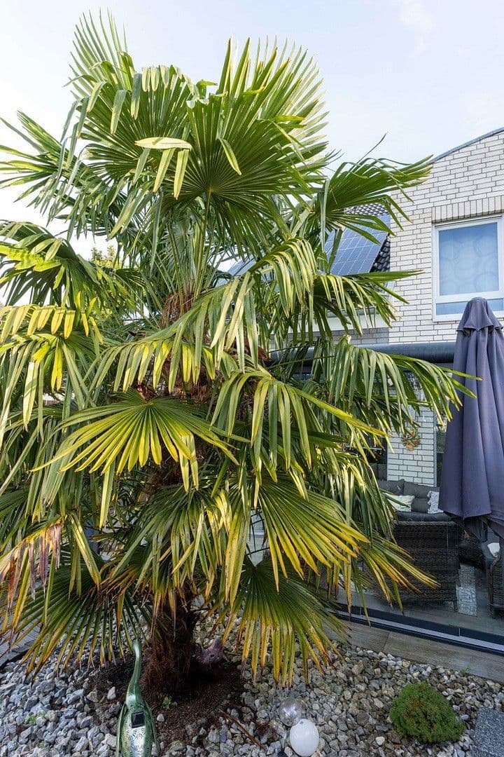 house for sale, 132 m², Langenfeld (Rheinland), North Rhine-Westphalia house for sale, 132 m², Langenfeld (Rheinland), North Rhine-Westphalia